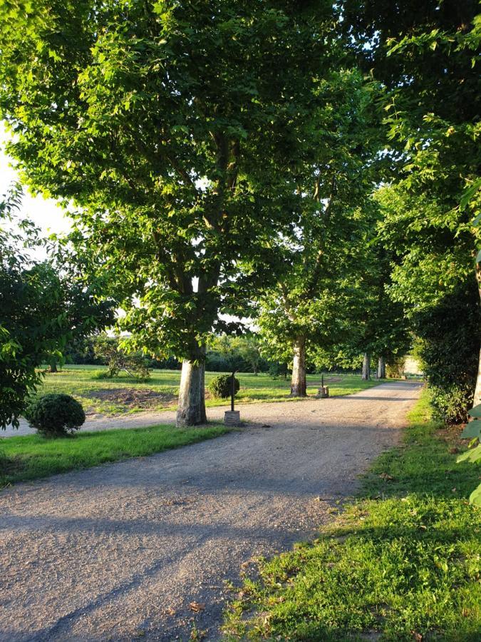 Domaine Des Jammetous - Hotel And Yoga Retreat Center La Magdelaine-Sur-Tarn Екстериор снимка